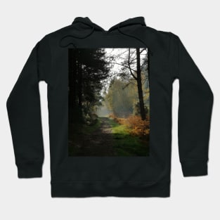 Forest Path in Fall Hoodie